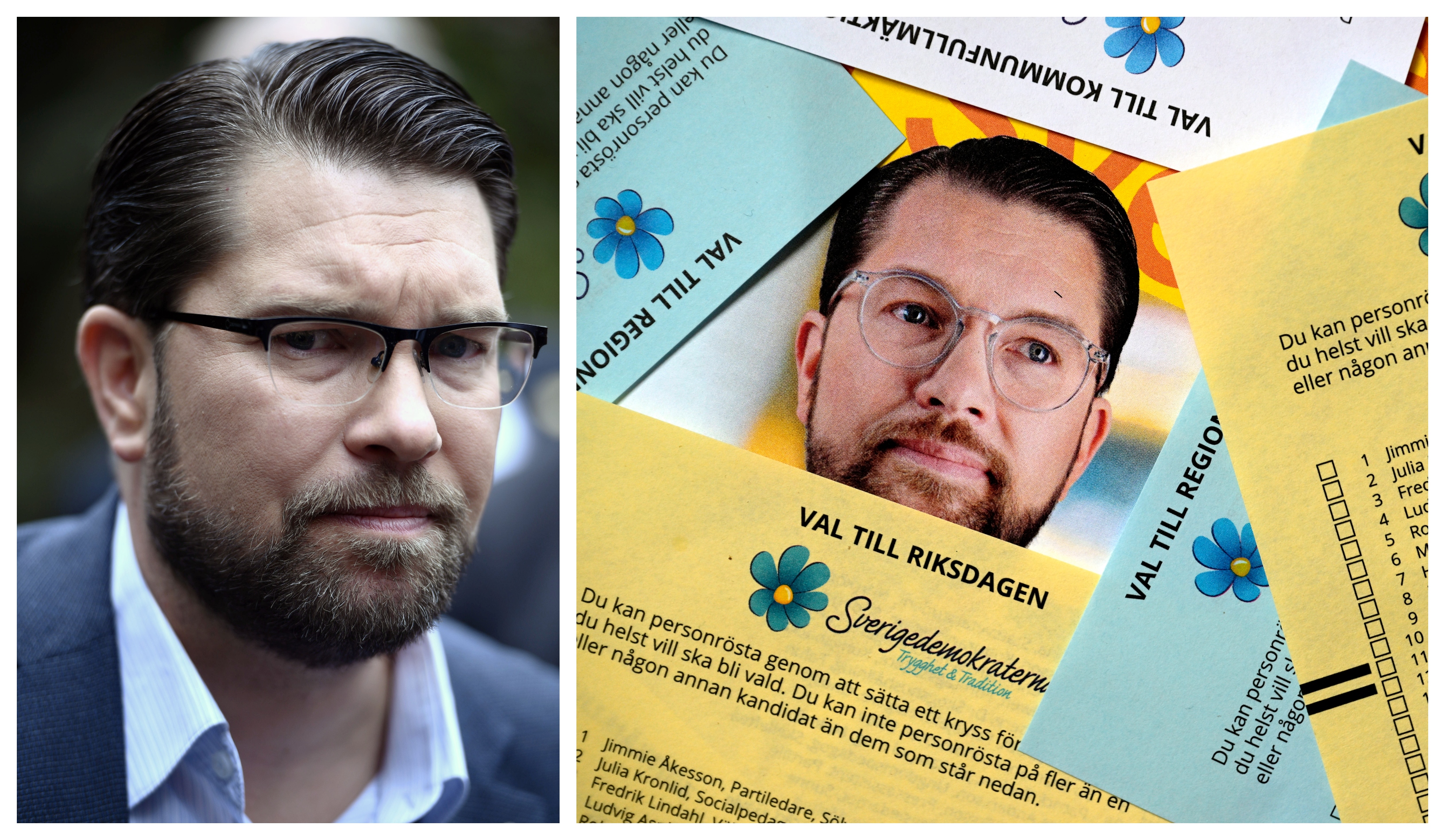 Sverigedemokraterna, Jimmie Åkesson